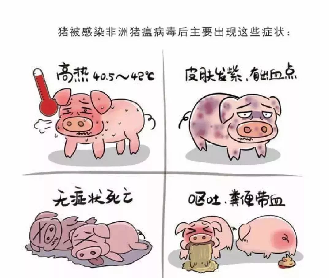 忻城县组织多部门加强非洲猪瘟监管防控工作还能放心吃猪肉吗答案全在
