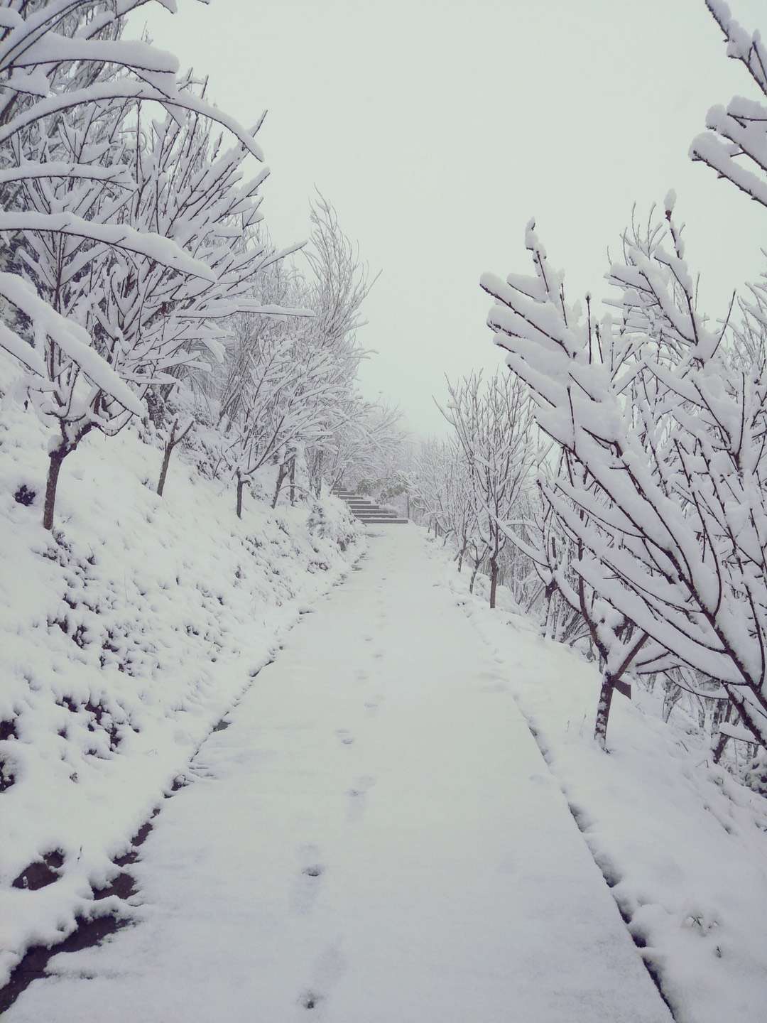 成都下雪,眺望青城山雪景