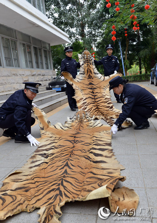 局历时一年半时间,成功侦破特大跨国贩卖珍贵濒危野生动物制品系列案