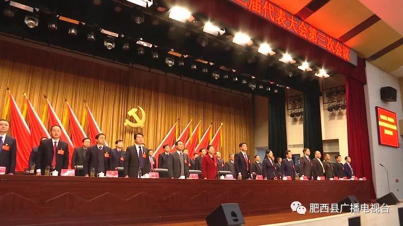 中国共产党肥西县第十三届代表大会第三次会议胜利闭幕