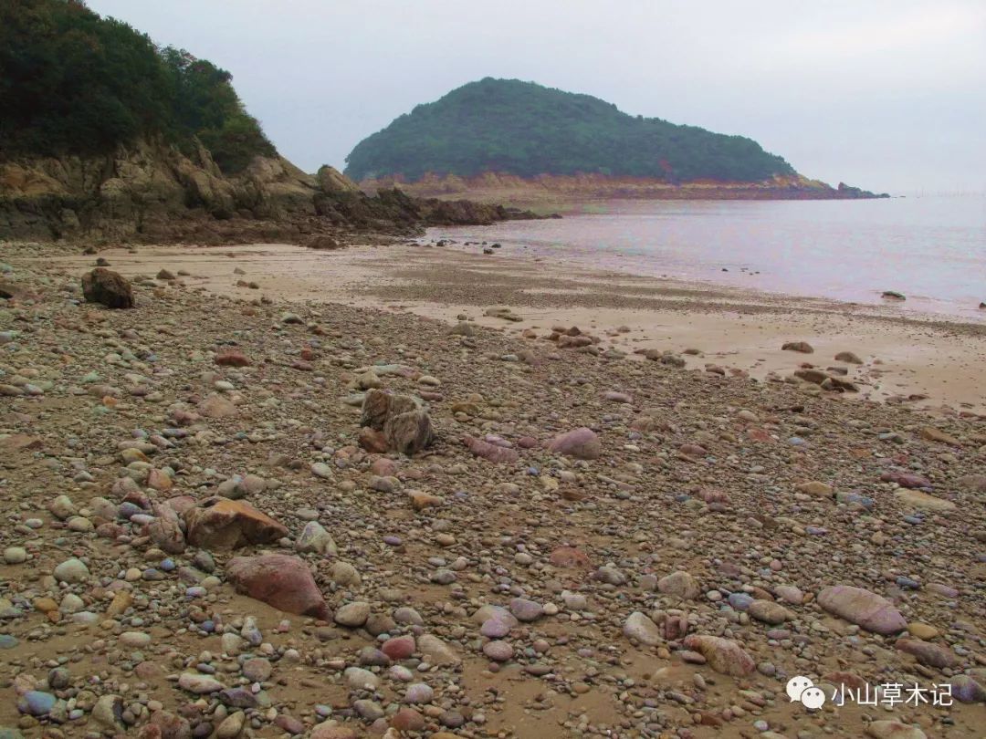 象山东极长沙村遇见一流原生态滨海美景