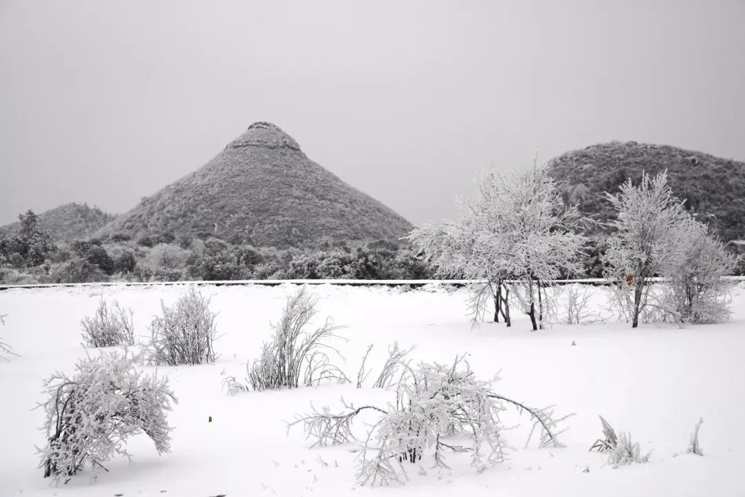 走到百里杜鹃赏雪去