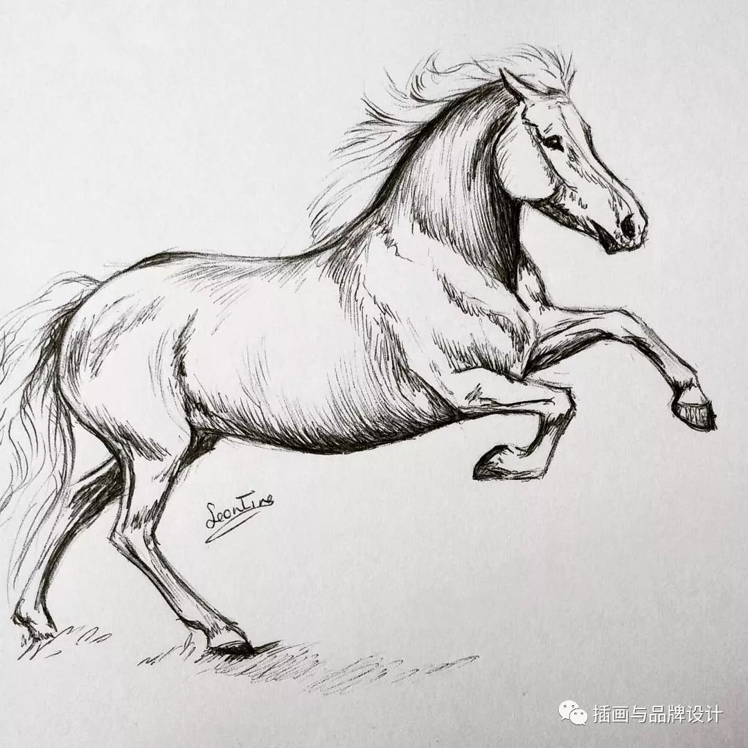 怎么画马的简笔画 马的画法-动物简笔画-欣欣简笔画