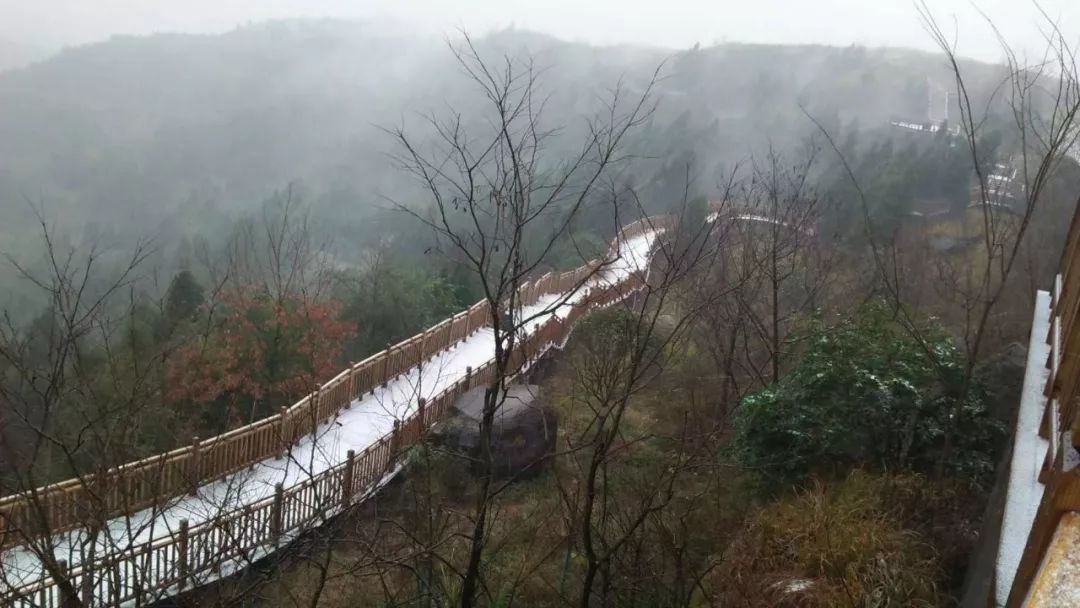 图片by:卜兵 虽然南充城区没有下雪~ 但是, 离城区较近的新复乡七坪寨