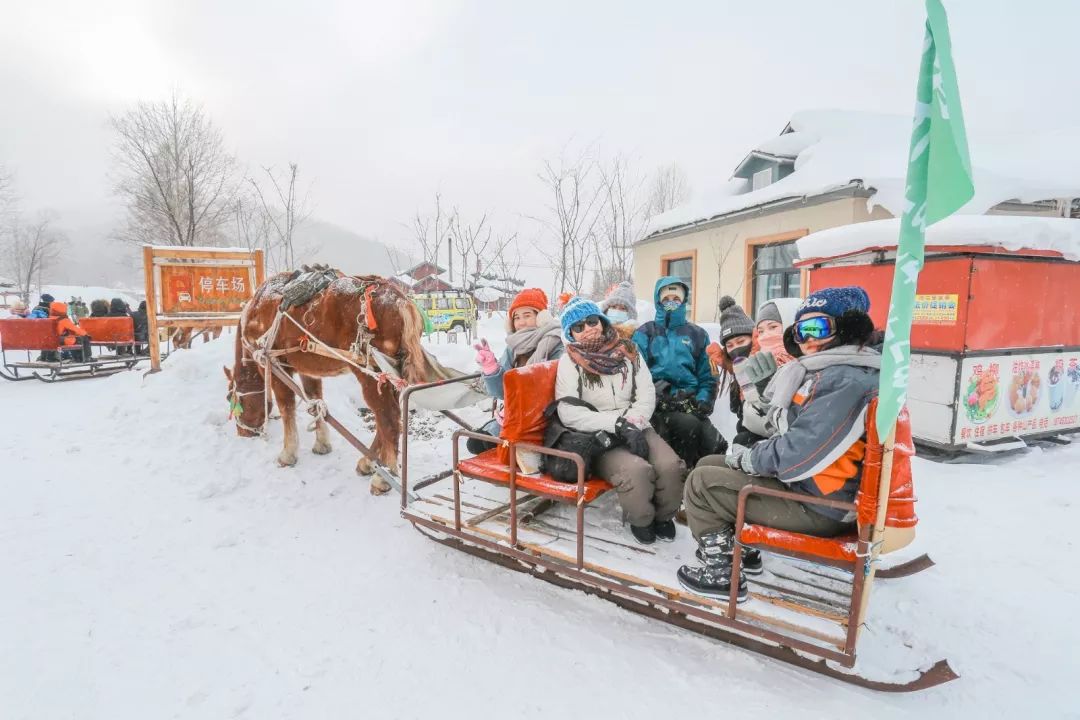 东北冰雪童话哈尔滨雪乡亚布力滑雪温泉雪地卡丁车马拉爬犁冰雪画廊