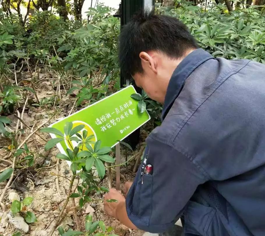 保利商业物业服务品质提升无止境,百优之后服务更优