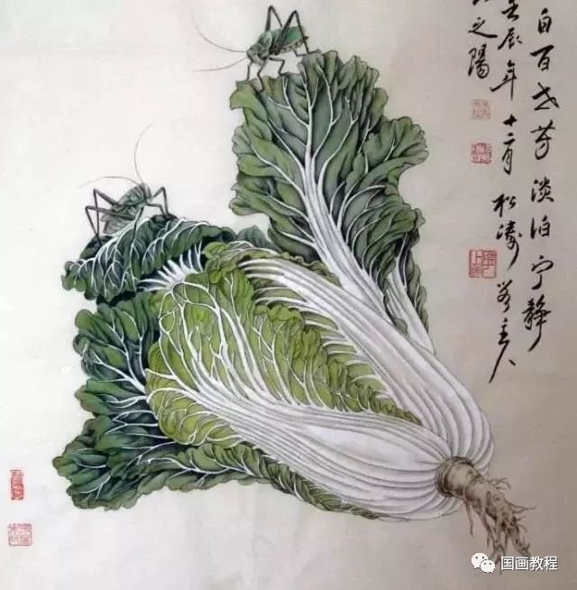 【国画】100幅白菜画,百看不厌!_王雪涛