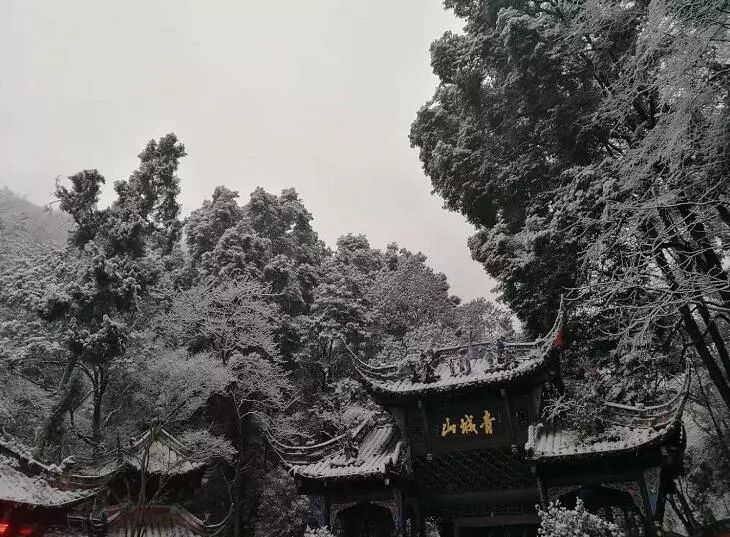 来自前方战队的朋友们 发来了今早新鲜出炉的 青城山下雪美景 也可以