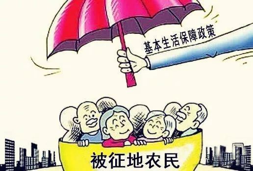 征收安置人口办法的制定主体_人口老龄化图片