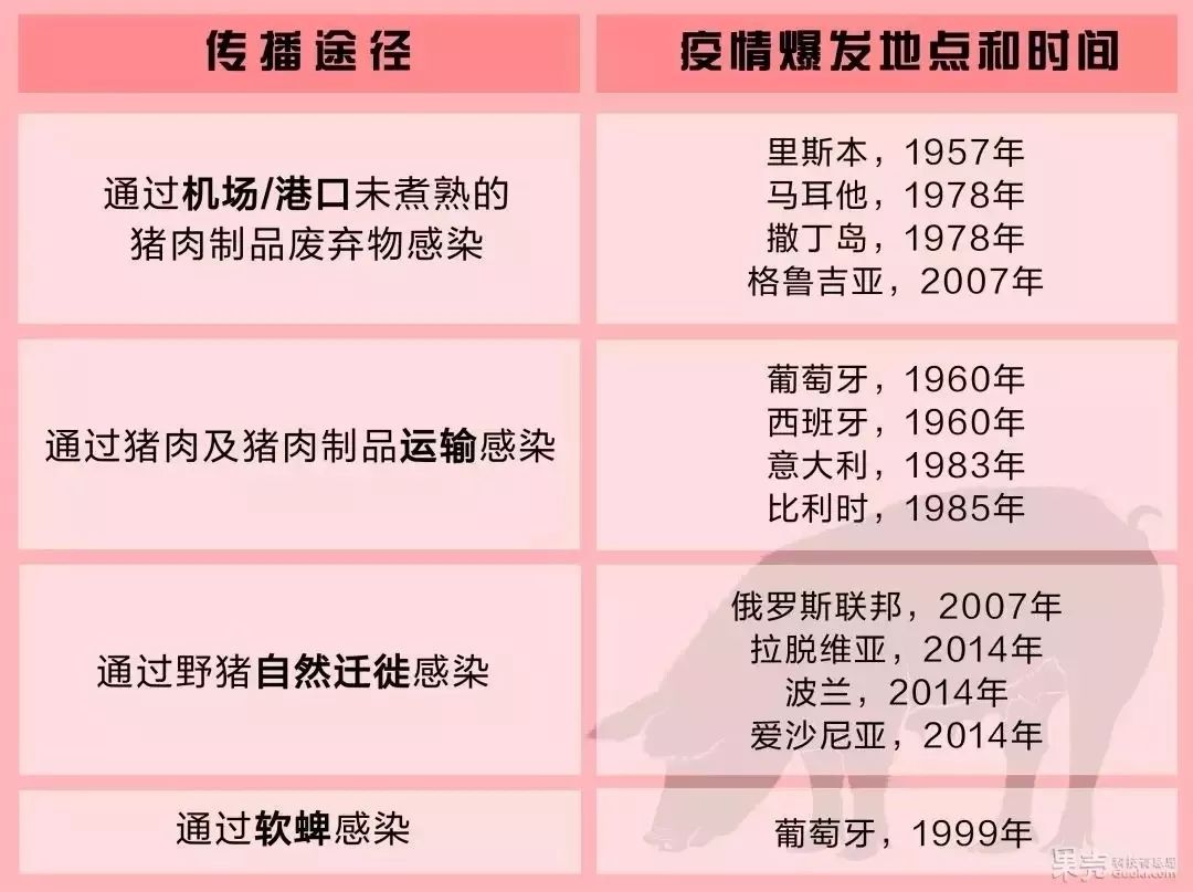 非洲猪瘟是如何传播的?什么是非洲猪瘟现在就让我们一起来了解一下吧!