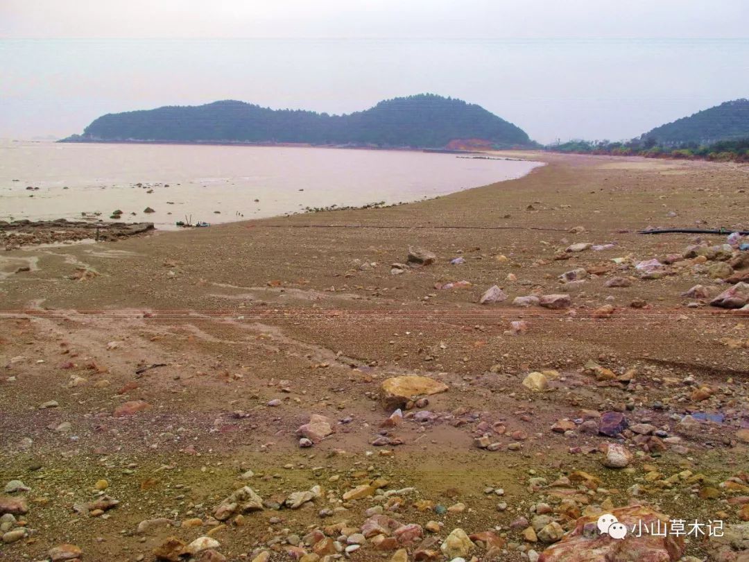 象山长沙村野生沙滩营地 – 野游地OutingMap