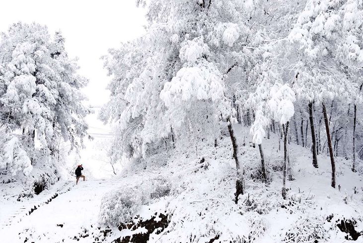 【永川头条】永川下雪啦!_茶山