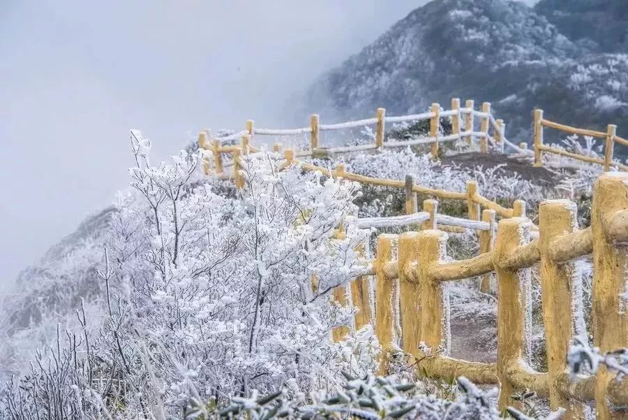 新的强冷空气到来,柳州人的冬天旅行看雪景的路线,总有一条适合你的.