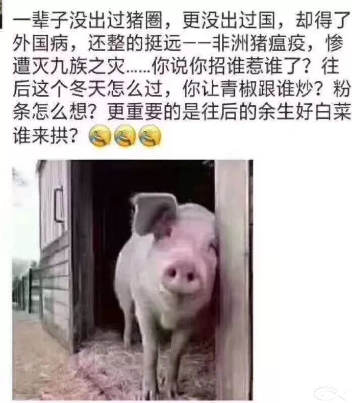 粉条怎么想? 往后的余生好白菜谁来拱 ..