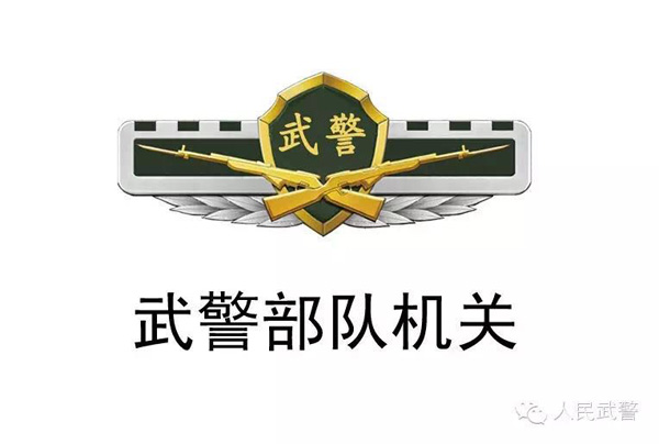 武警部队更换新式标志服饰 新式臂章有五点不同