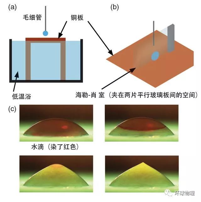 有趣的物理现象及原理_实验现象揭示的物理原理或规律与应用技术相对应,用笔画线将它们对应(2)