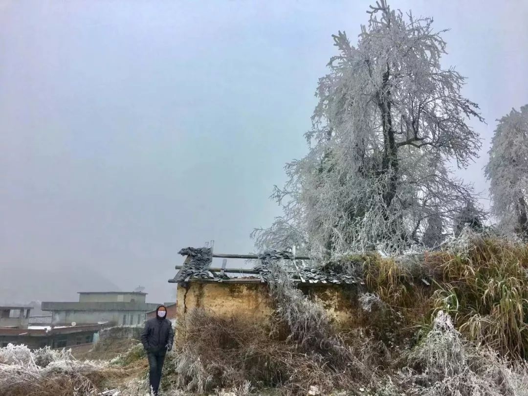 刚刚韶关乳源下雪啦漫山银装美极了