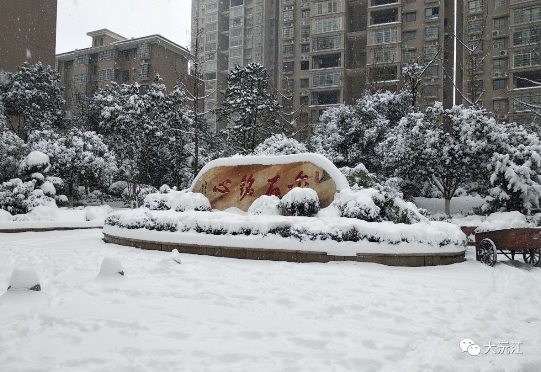 一大早, 大沅的朋友圈 就被一波雪景刷屏了, 没错, 沅江真的下雪了