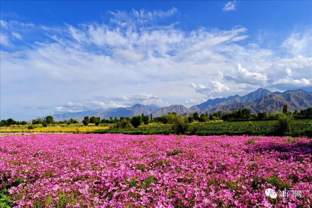 酒泉肃州区 观山口村