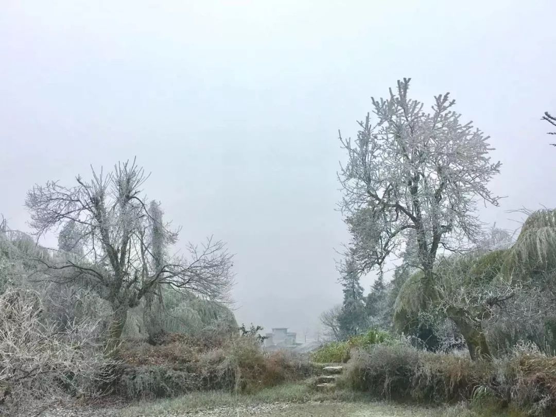 刚刚韶关乳源下雪啦漫山银装美极了