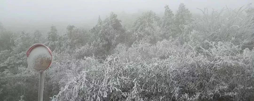 韶关下雪啦!高速高寒路段封路!各地齐抗冰雪!赏雪切记安全!_乐昌