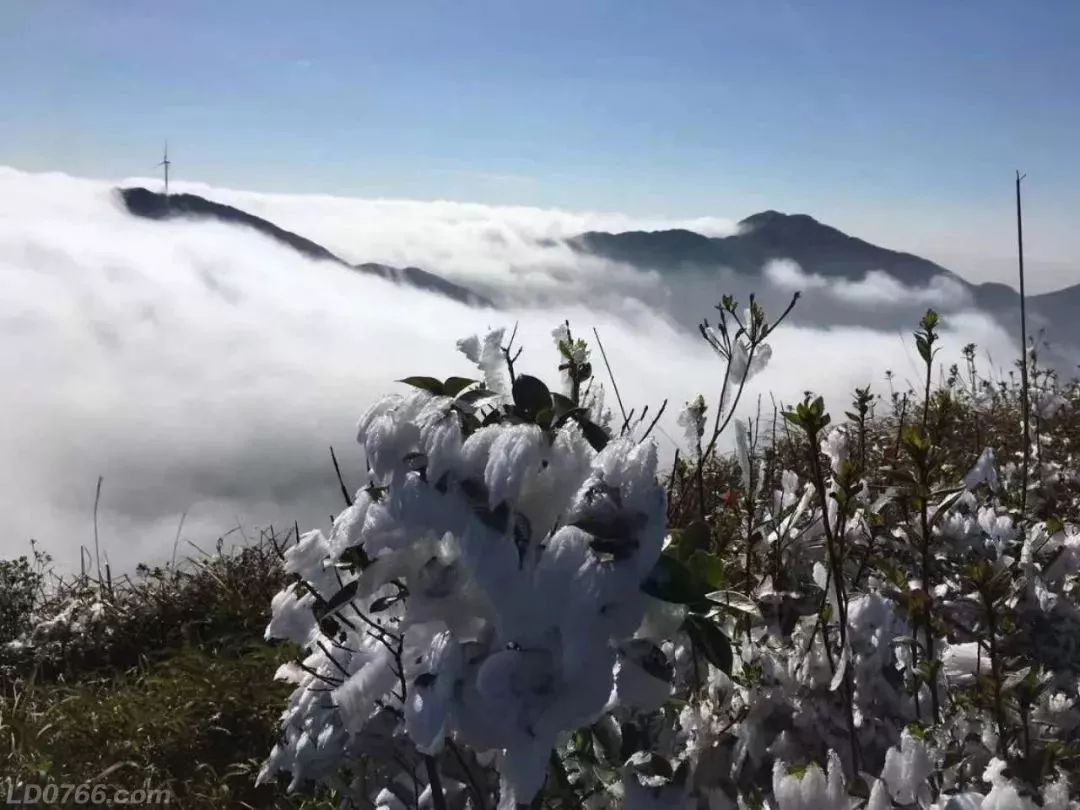 罗定龙湾风车山挂冰了太太太美了