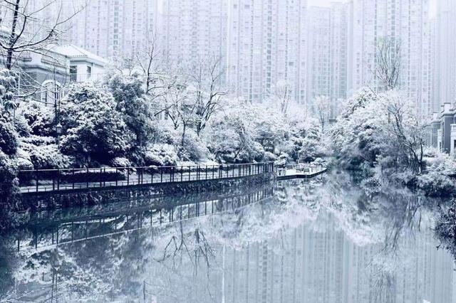 郫都人喜提初雪_雪景