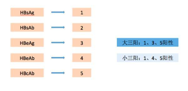 大三陽轉小三陽 說明肝病好轉嗎？ 健康 第4張