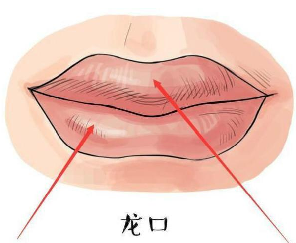 器官,能令自己好运常在,也会让自己惹上是非,所以,口型的好坏直接决定