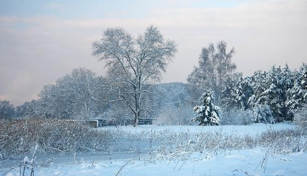 什么雪飘成语(3)