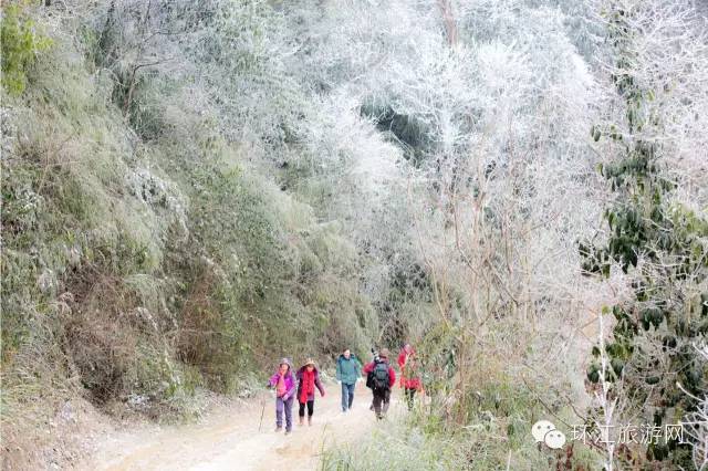 世遗环江 体验杨梅坳的雪色浪漫