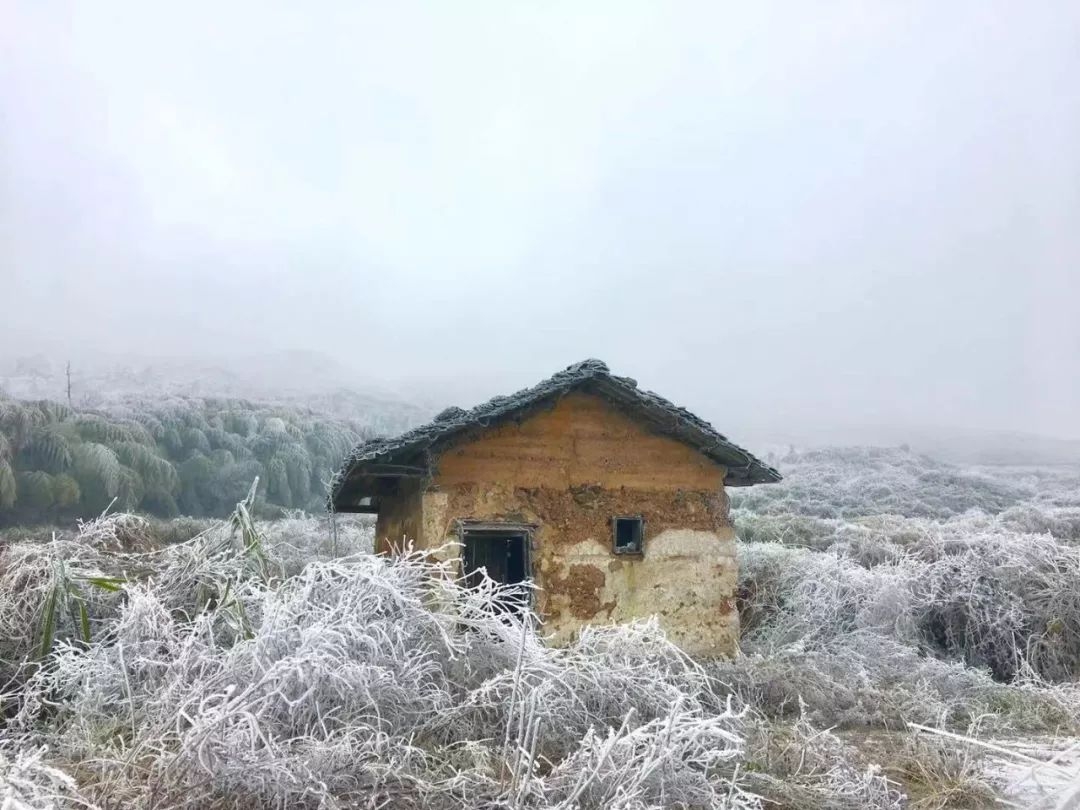 刚刚韶关乳源下雪啦漫山银装美极了