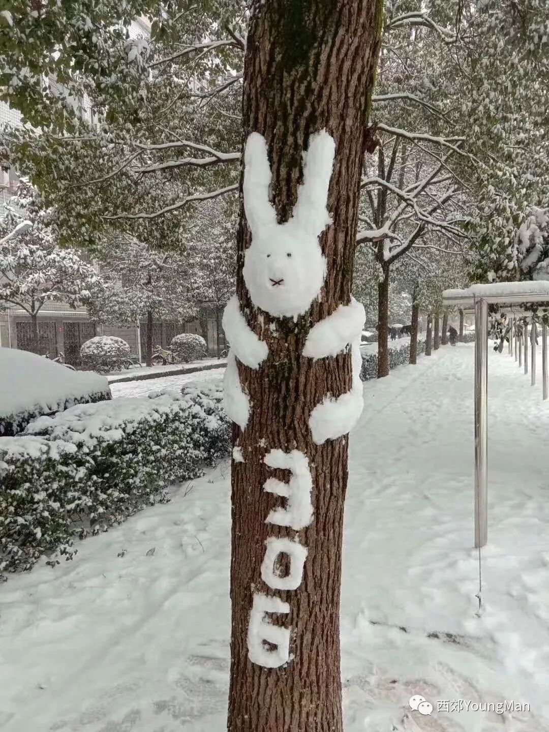 "网红"小兔子雪人