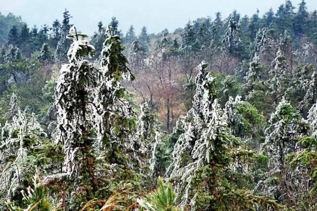 灵山县旧洲镇人口_广西灵山县檀圩镇图片