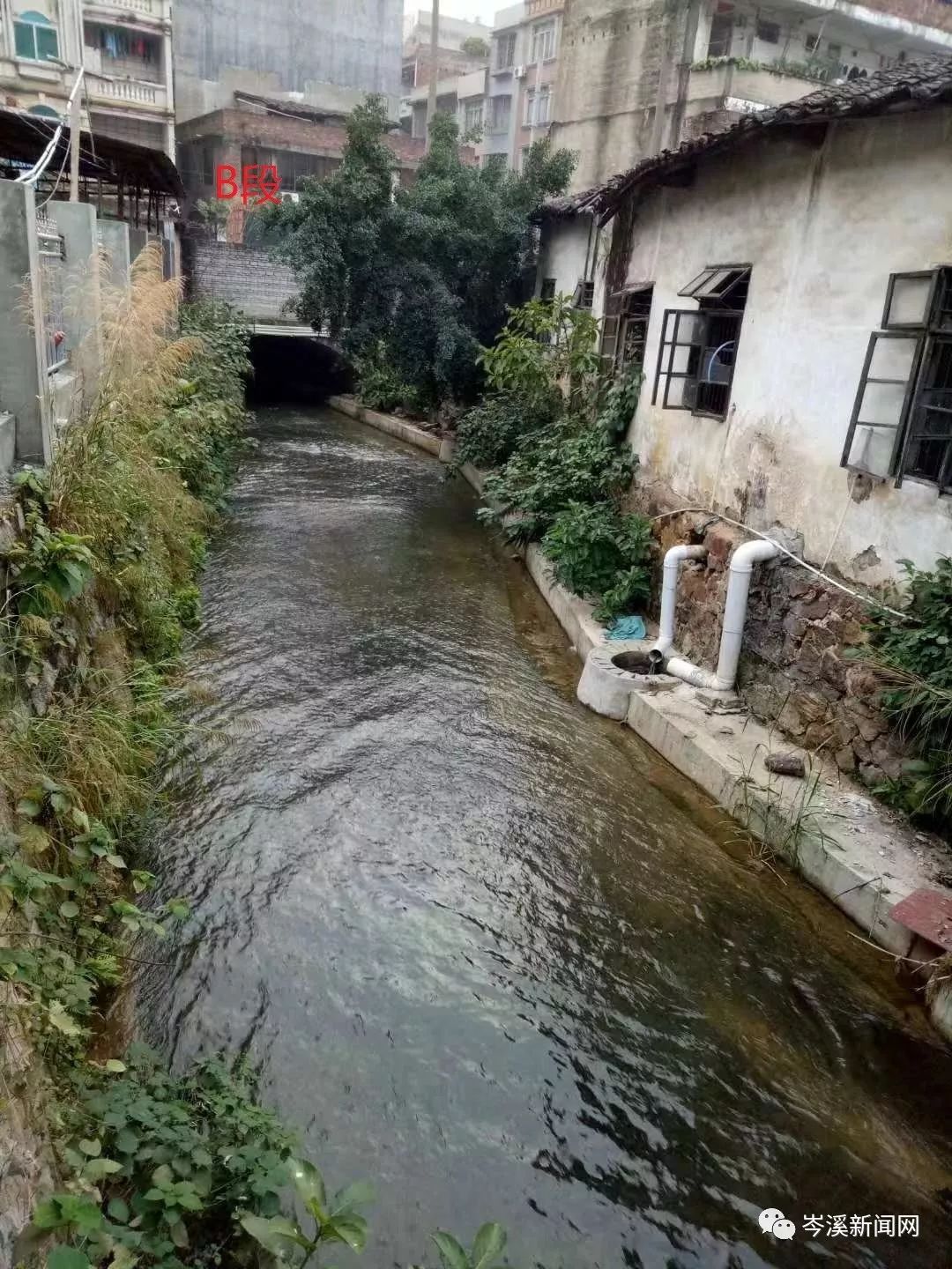 岑溪多少人口_岑溪东山公园(3)