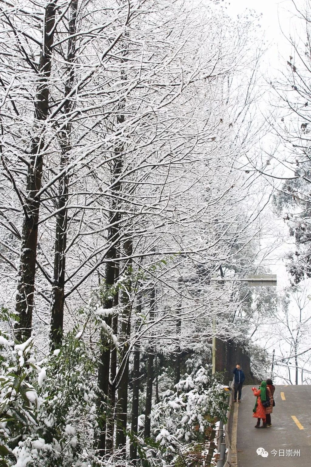 雪是如何形成的？