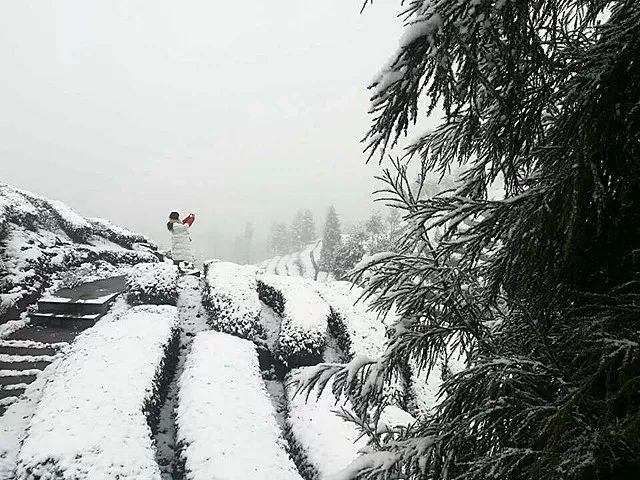 好嗨哟宜宾到处都下雪了约起看雪去