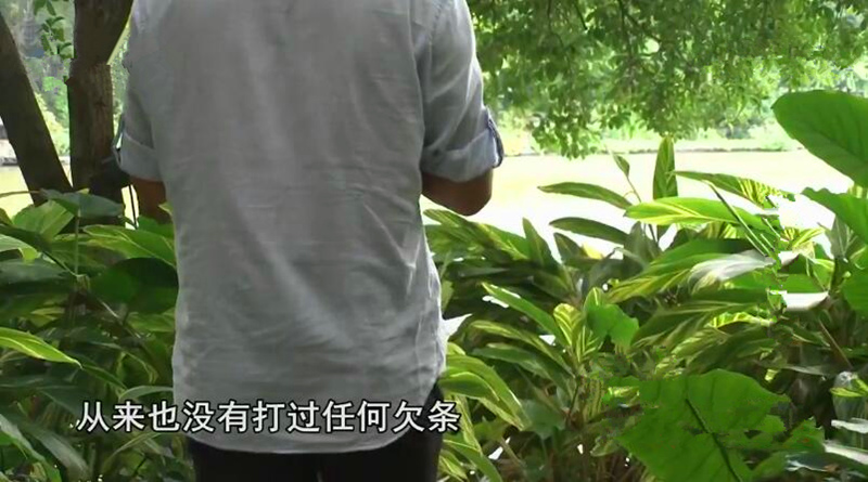 男子微信認識陶瓷娃娃，她謊稱父母相繼重病去世，騙得男友52餘萬元