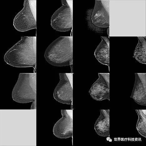 麻省总人口_麻省理工大学图片(3)