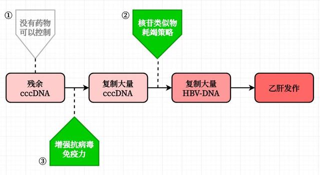 大三陽轉小三陽 說明肝病好轉嗎？ 健康 第5張