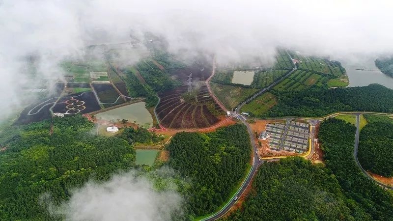 彭泽县芙蓉墩镇五联村人口_彭泽县地图(3)