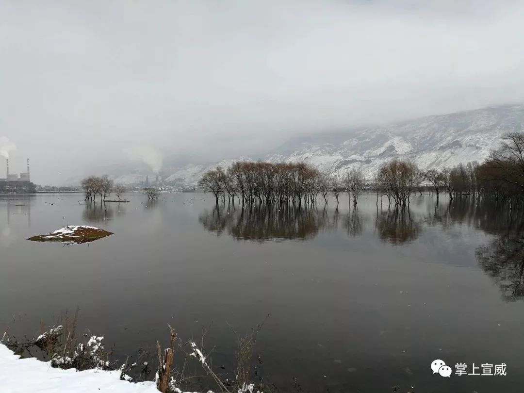 宣威金月湖雪景美爆了