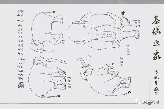 【国画教程】国画大象的画法(终于了解它结构了)