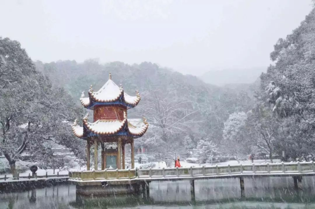 湖南这些大学,这几天都叫"湖南大雪"!_雪景