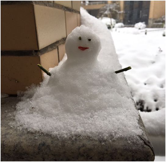 早上7点多就有一些小朋友拿着雪橇在铲雪,不得不佩服这些不怕冷的小