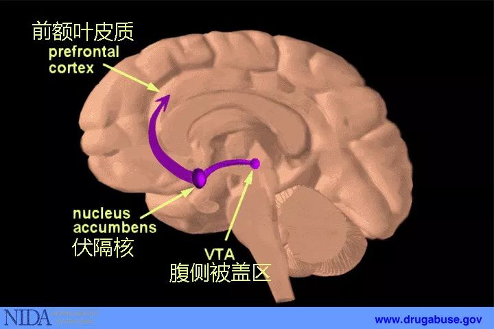 為什麼我們的新年立志最後都不了了之 健康 第3張