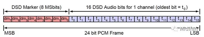 Treain 發布 DoP 音頻接口 DSD88 IO 升級版 科技 第2張