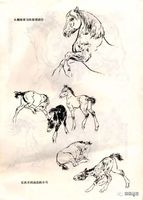 国画教程画马技法与马的结构素描