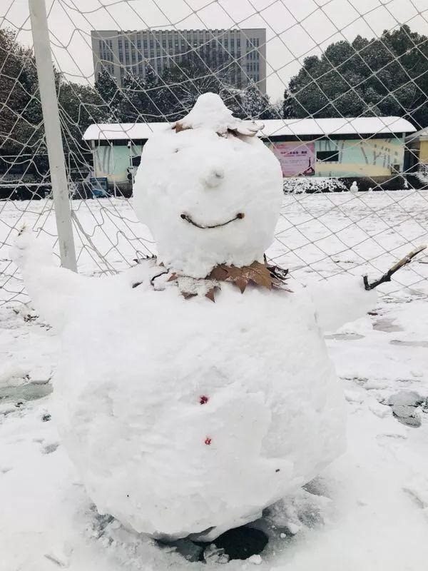 更多鬼畜雪人,滑动查看下一张图片>可爱の雪人"虽然我不怕冷,但