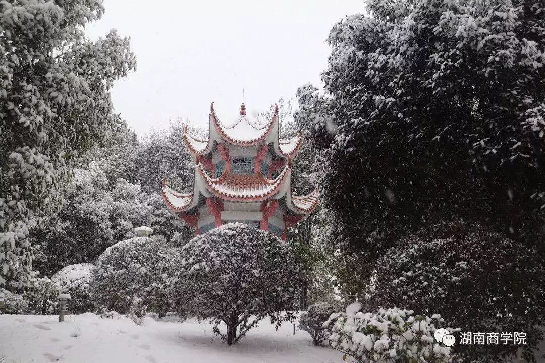 理工大雪湘潭大雪湖南师范大雪国防科技大雪湖南大雪中南大雪给你一场